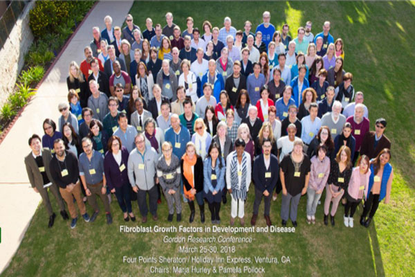Gorden Research Conference 2018